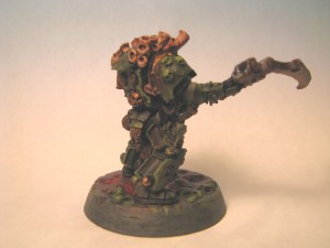 Typhusback