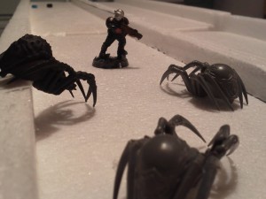 IMG_20120105_131809